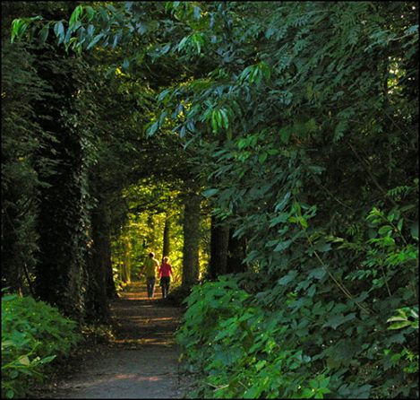 Image by tataAnne on Flickr