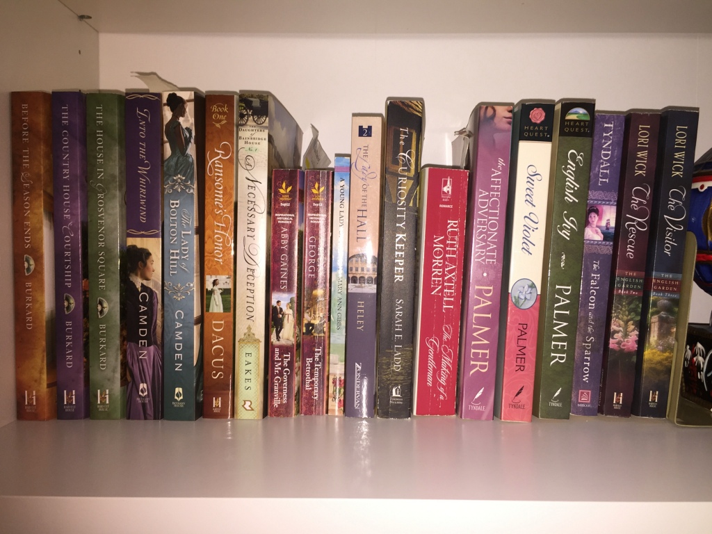 Photo of book shelf showing spines of historical fiction novels in order by author last name.