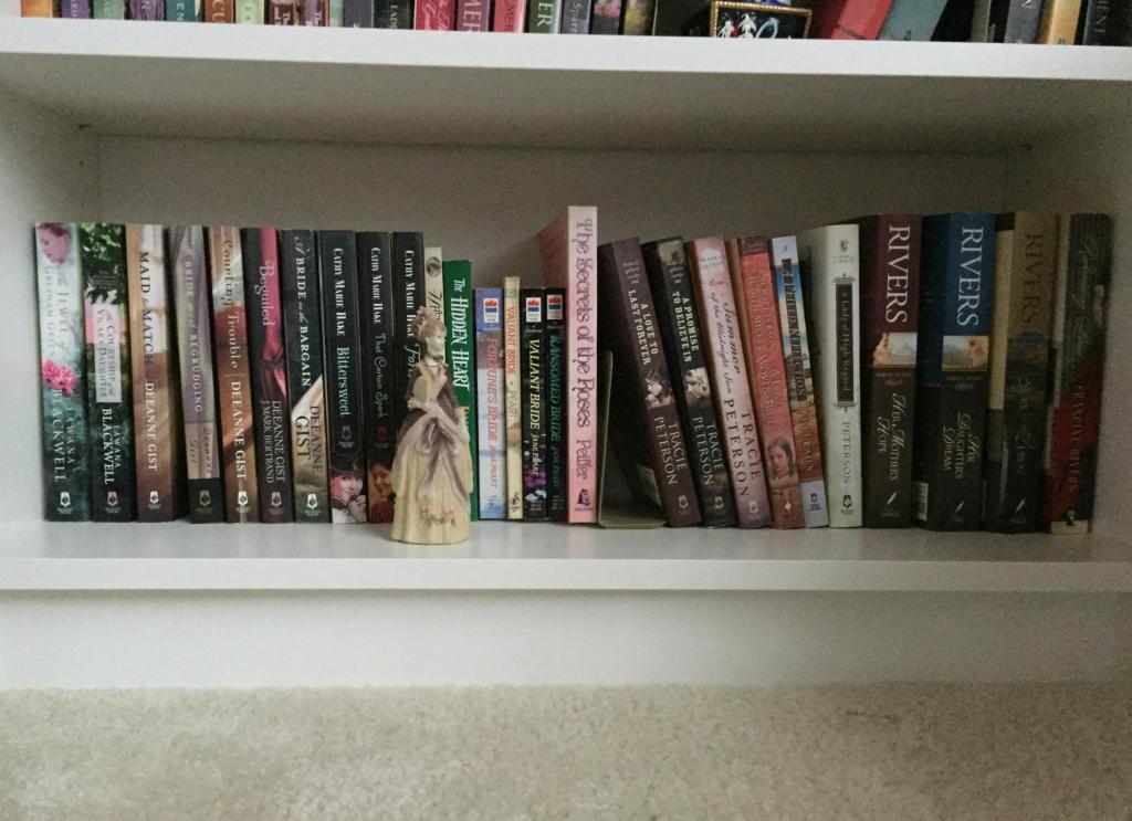 Photo of book shelf showing spines of historical fiction boooks.